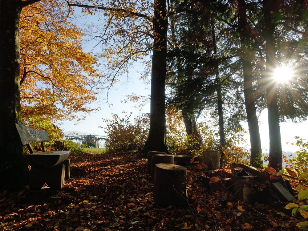 Grillplatz  mit Gegenlicht