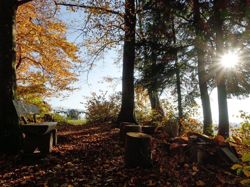 Grillplatz  mit Gegenlicht