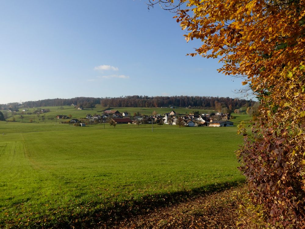 Blick Richtung Bürg