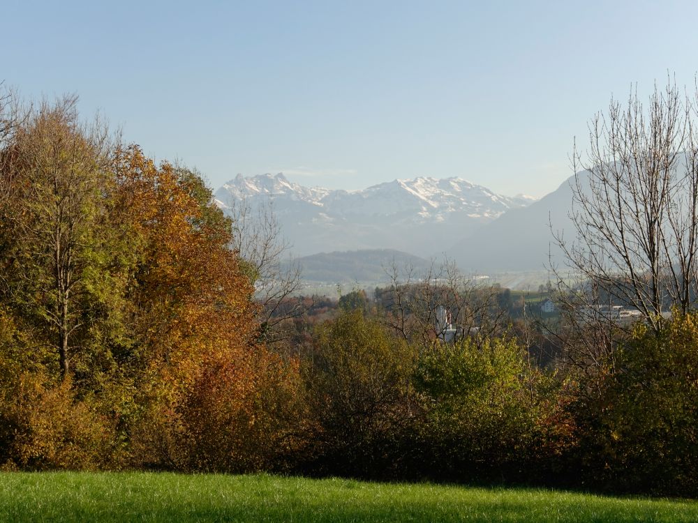 Mürtschenstock, Fronalpstock und Schilt