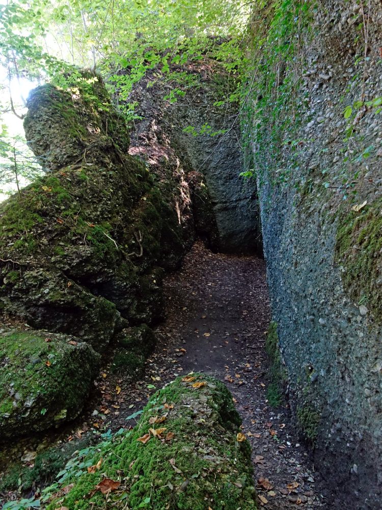 Eingangsspalt zur Äulischlucht