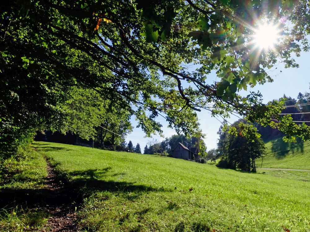 Wiesenpfad bei Hinter Felsen