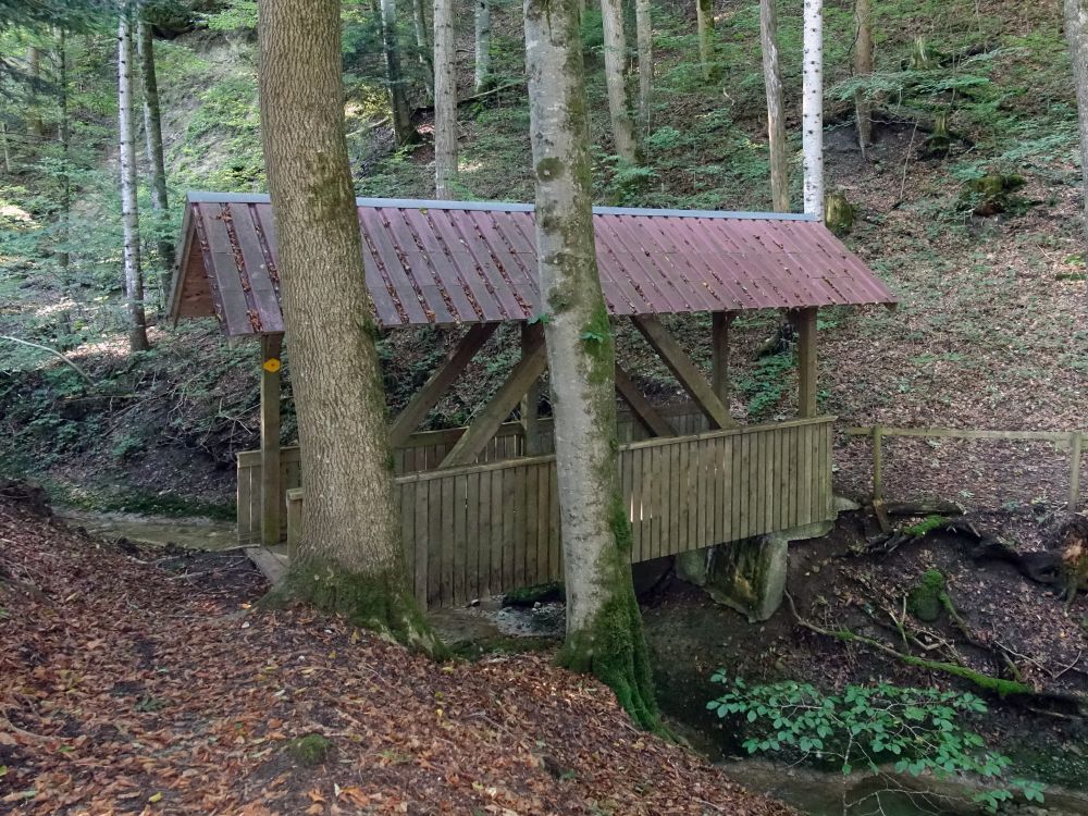 überdachte Brücke über den Krinauer Bach