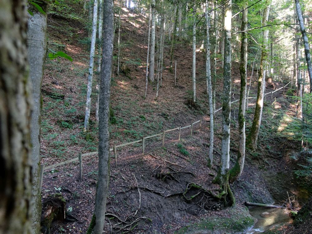 Fabrikweg im Grubenwald