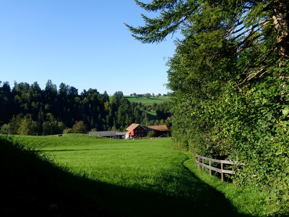 Wiesenpfad nach Gehren