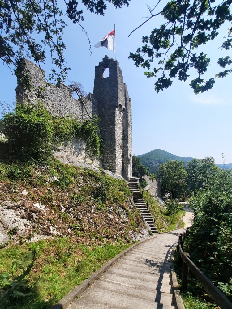 Ruine Stein