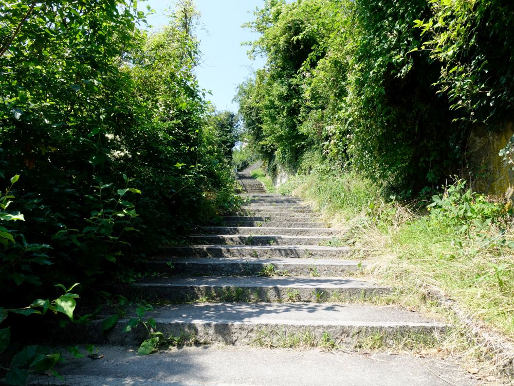 Treppe zur Ruine Stein