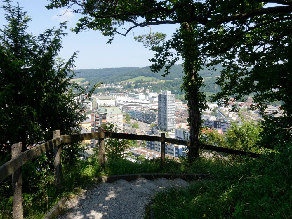 Abstieg von Ruine Stein