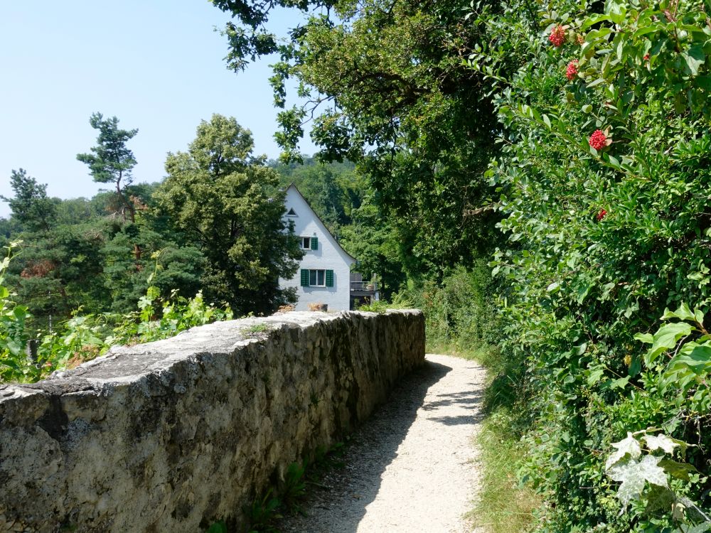 Wanderweg bei Ruine Stein