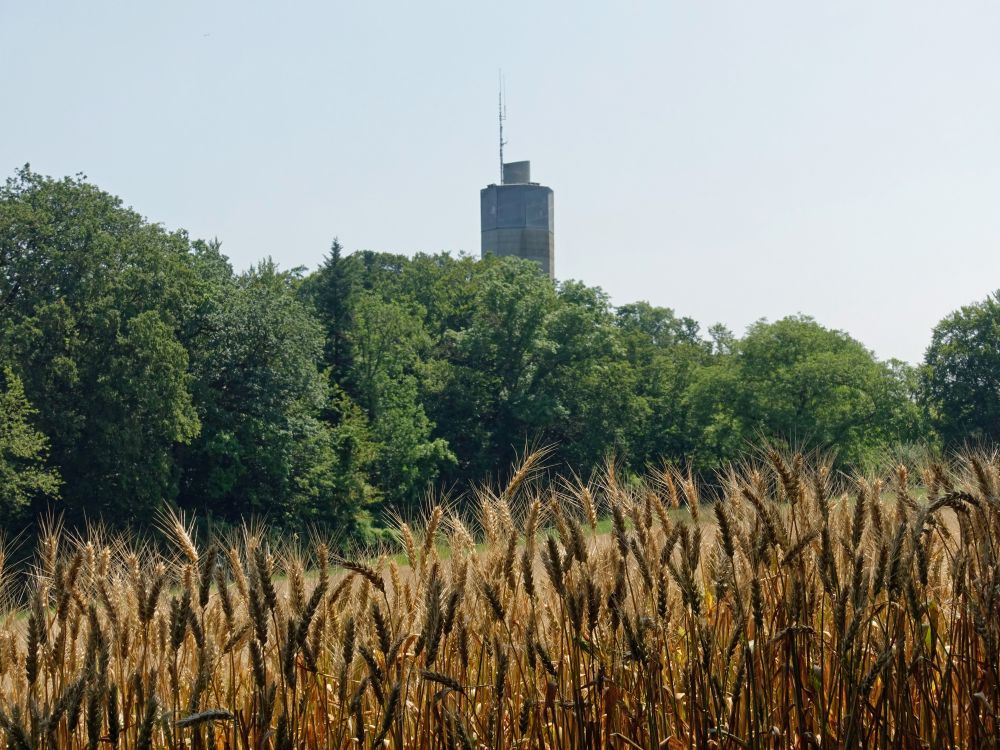 Wasserturm Baldegg