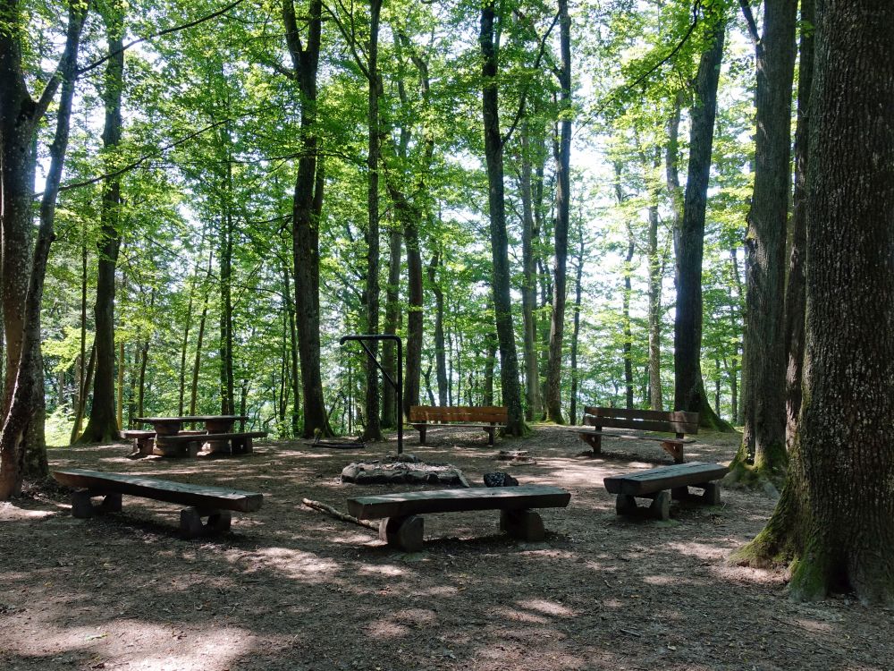 Grillplatz im Wald