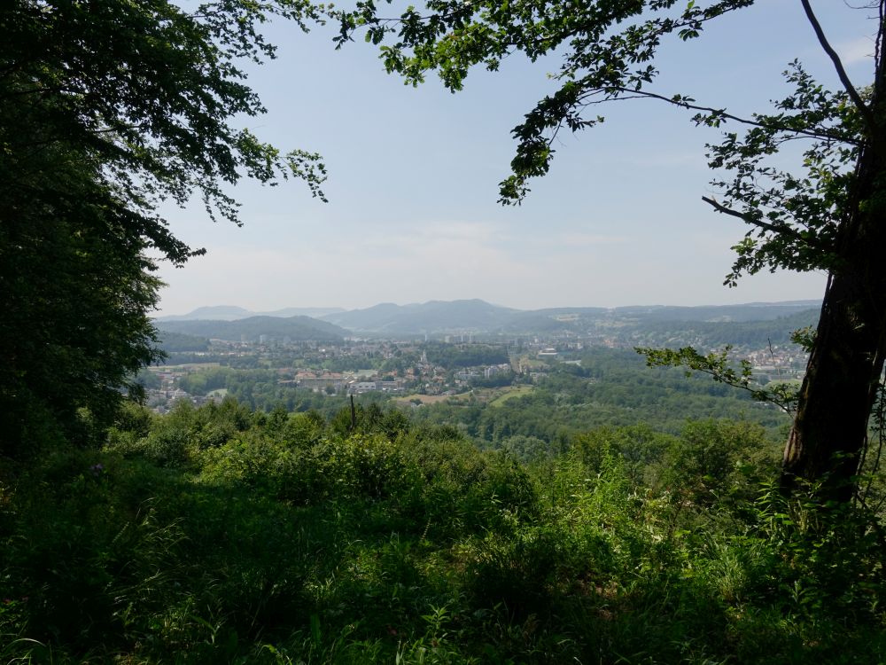 Blick Richtung Jura