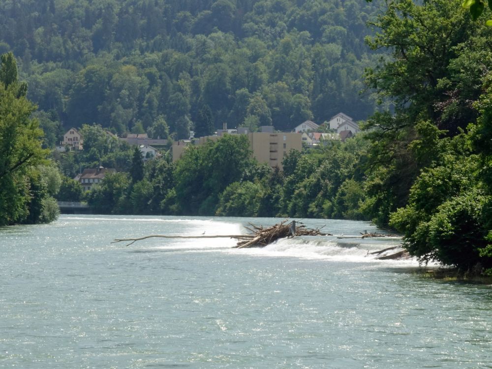 Limmat