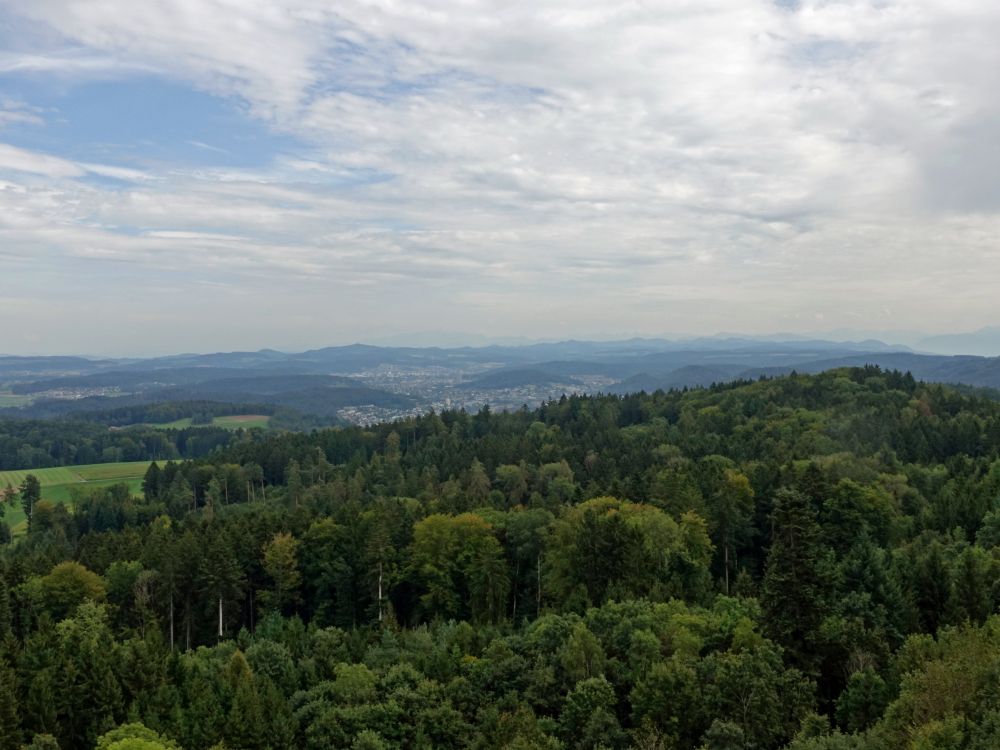 Blick Richtung Winterthur