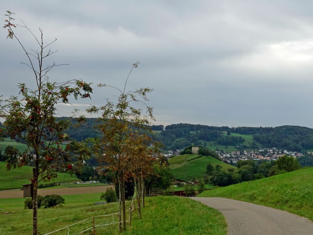 Burgruine Freienstein