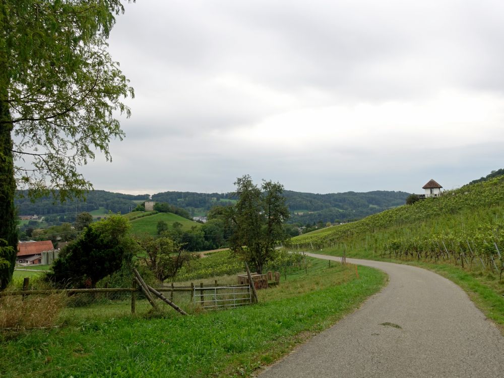 Burgruine Freienstein