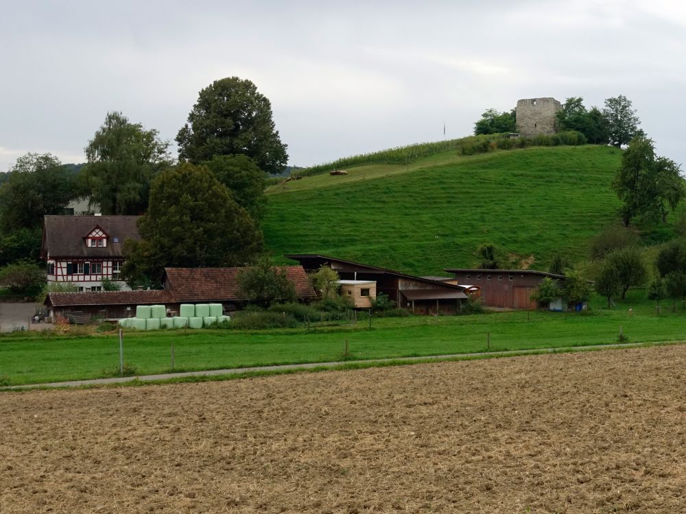 Bauernhof und Burgruine