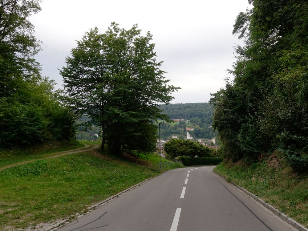 Abzweig Summerhaldenweg