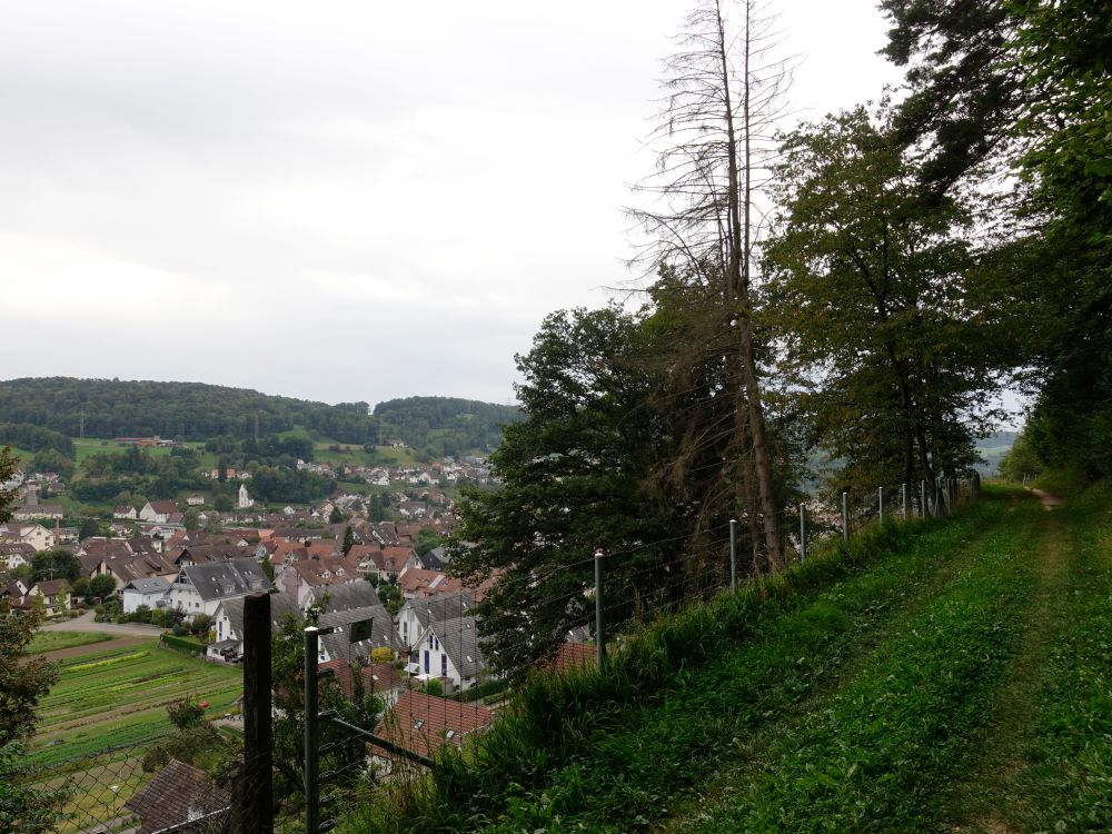 Blick auf Freienstein