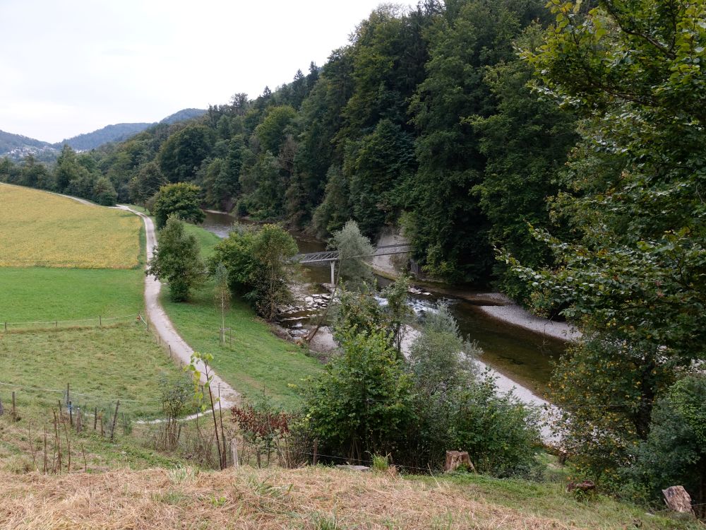 Blindensteg über die Töss