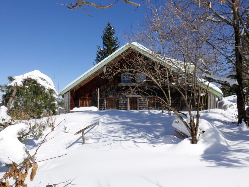 Obere Mittelberg-Alpe