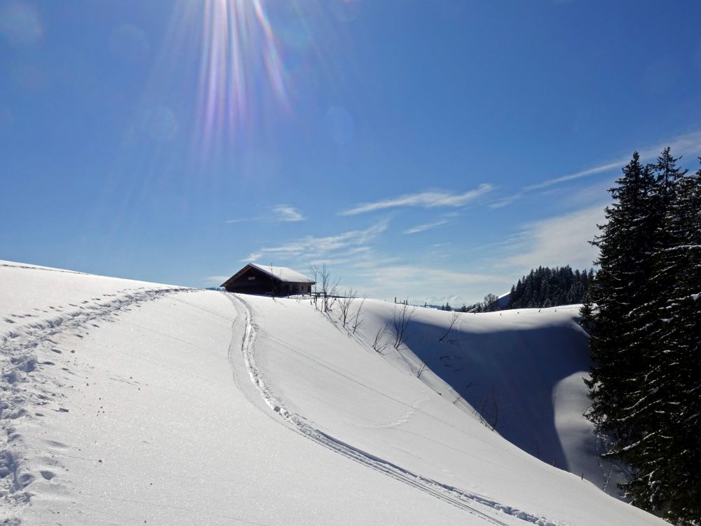 Oberdenneberg-Alpe