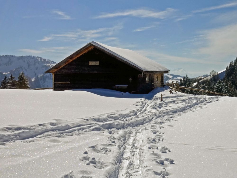 Oberdenneberg-Alpe