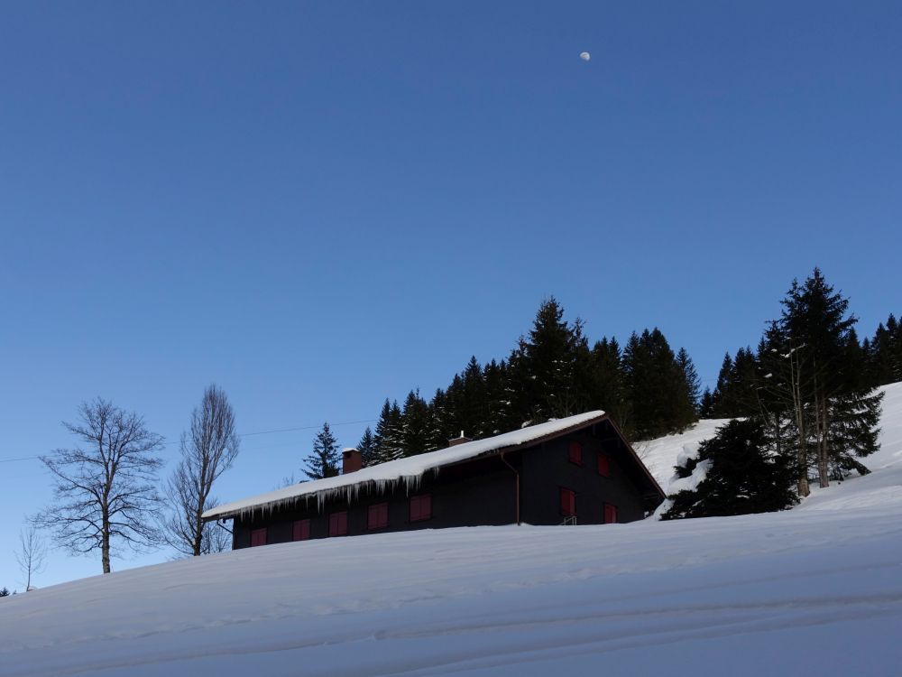 Untere Mittelberg-Alpe