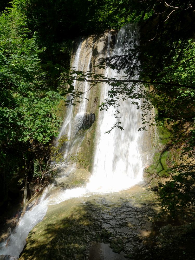 Erlenbacher Tobel