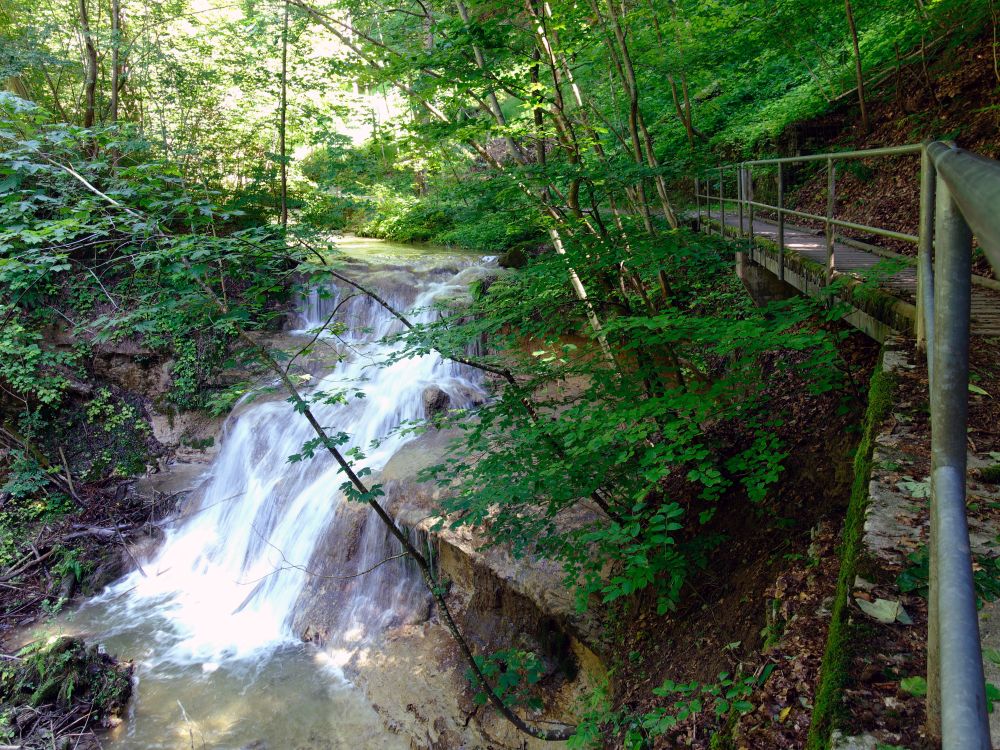 Erlenbacher Tobel