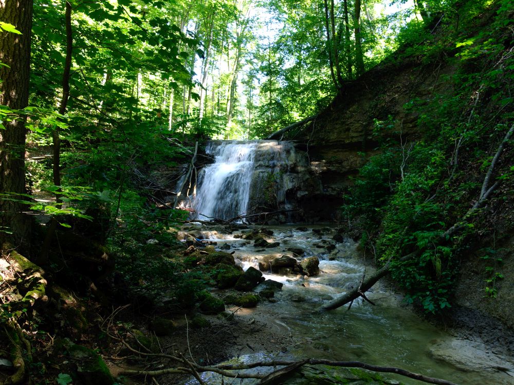 Erlenbacher Tobel