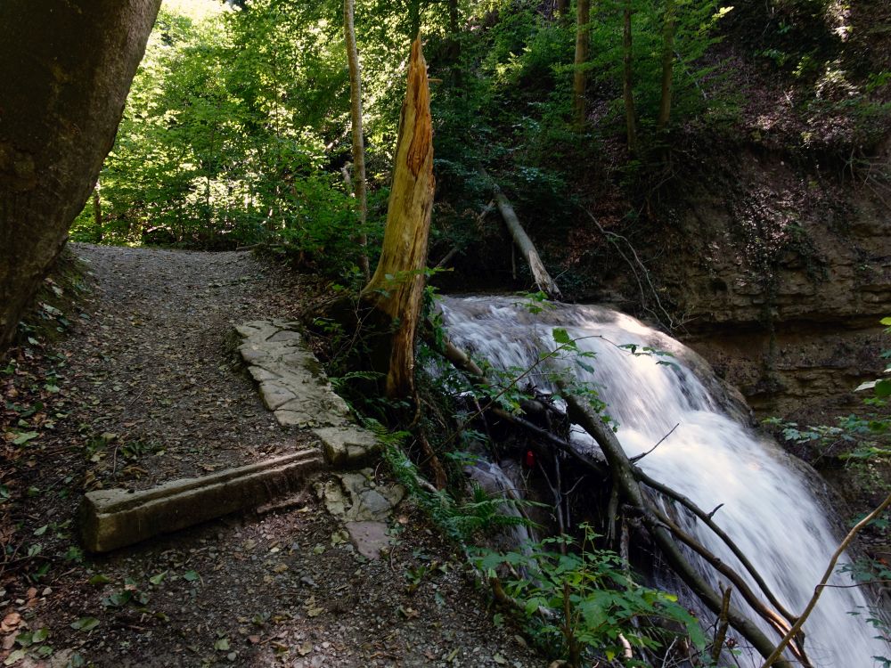 Erlenbacher Tobel