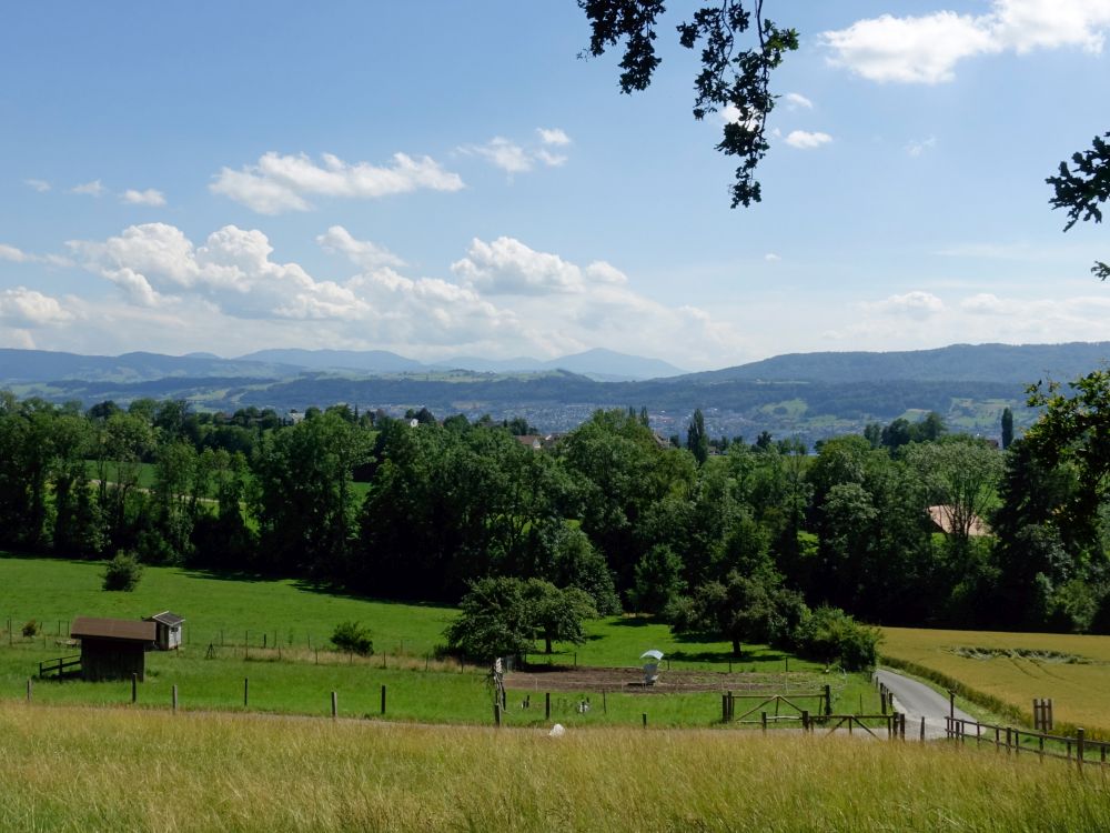 Blick Richtung Rigi