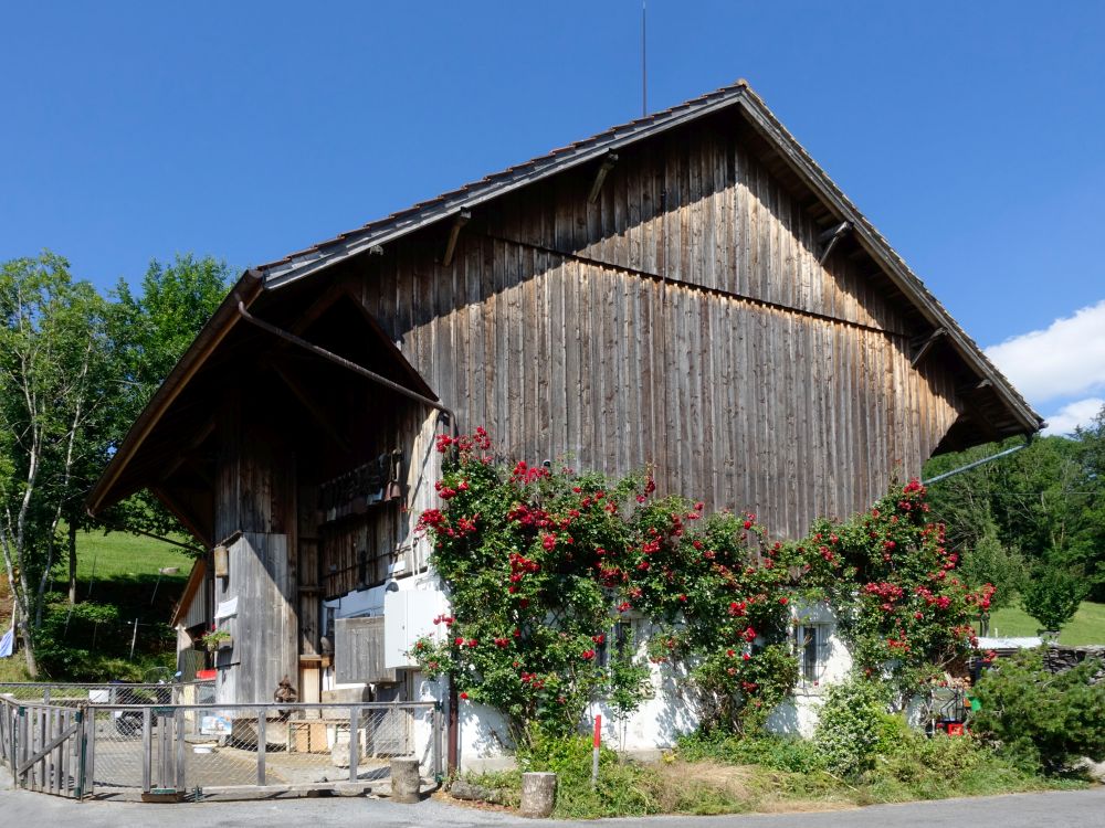 Scheune bei Blüemlisalp