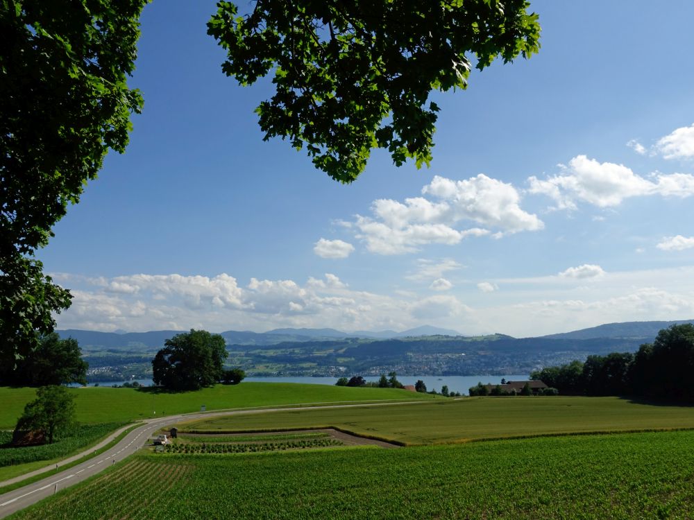 Blick von Zelg bei Wetzwil