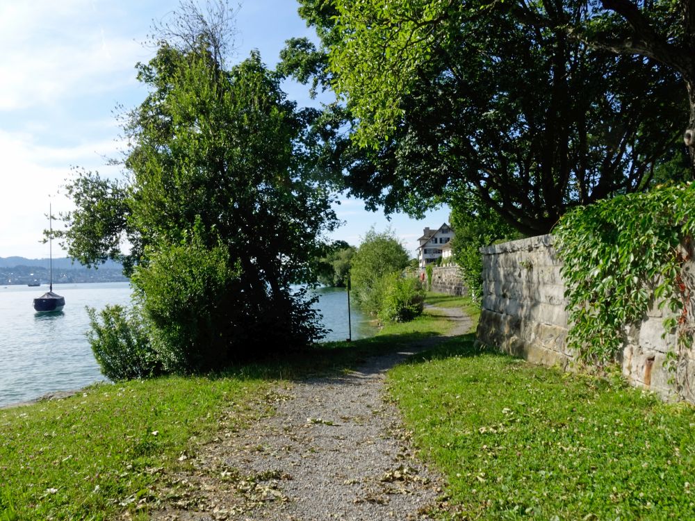 Seeufer Zürichsee