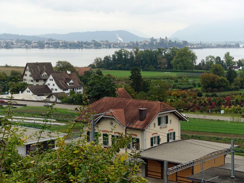 Bahnhof Feldbach und Rapperswil