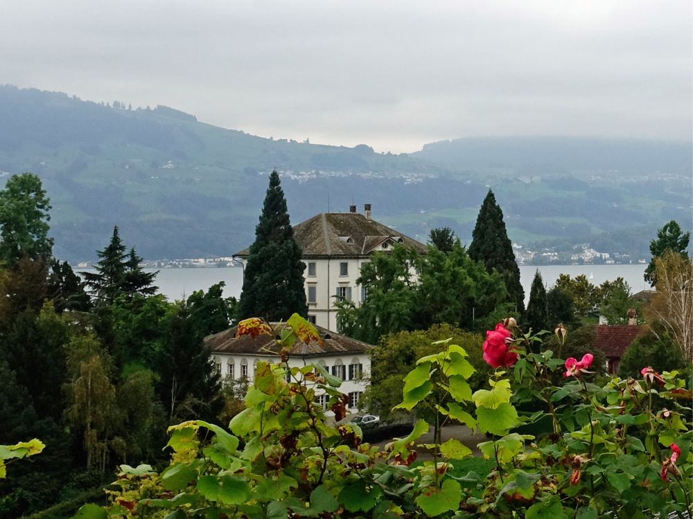 Gutsverwaltung Rosenberg