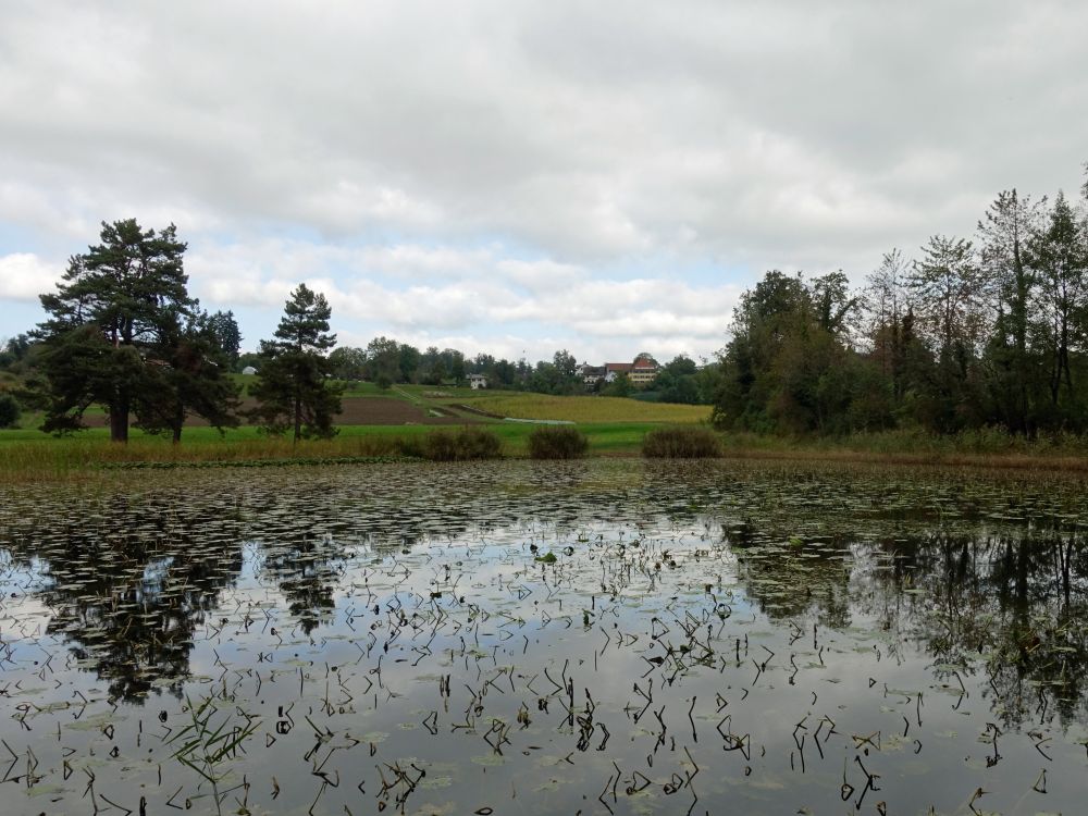 Chatzentobelweiher