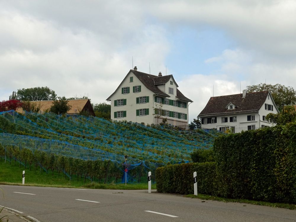 Wellenberg