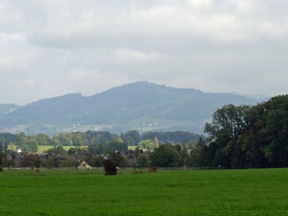 Blick Richtung Bachtel