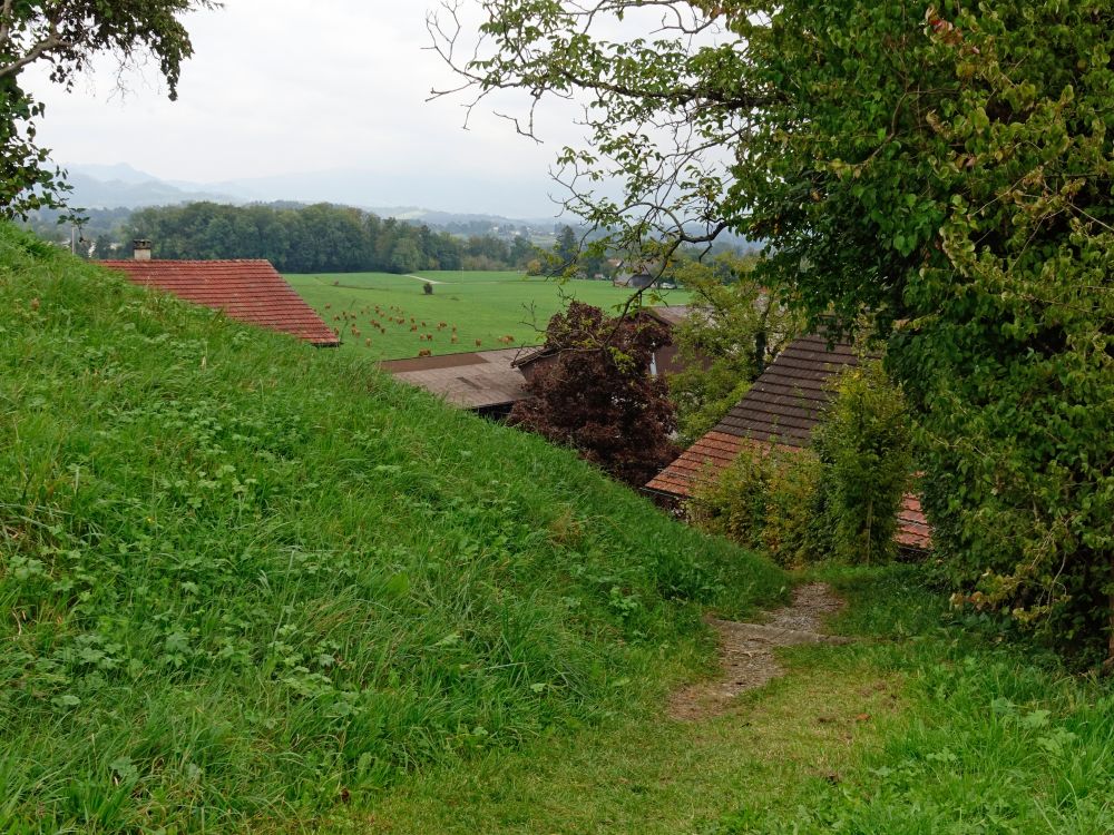 Wigartenweg bei Widmen