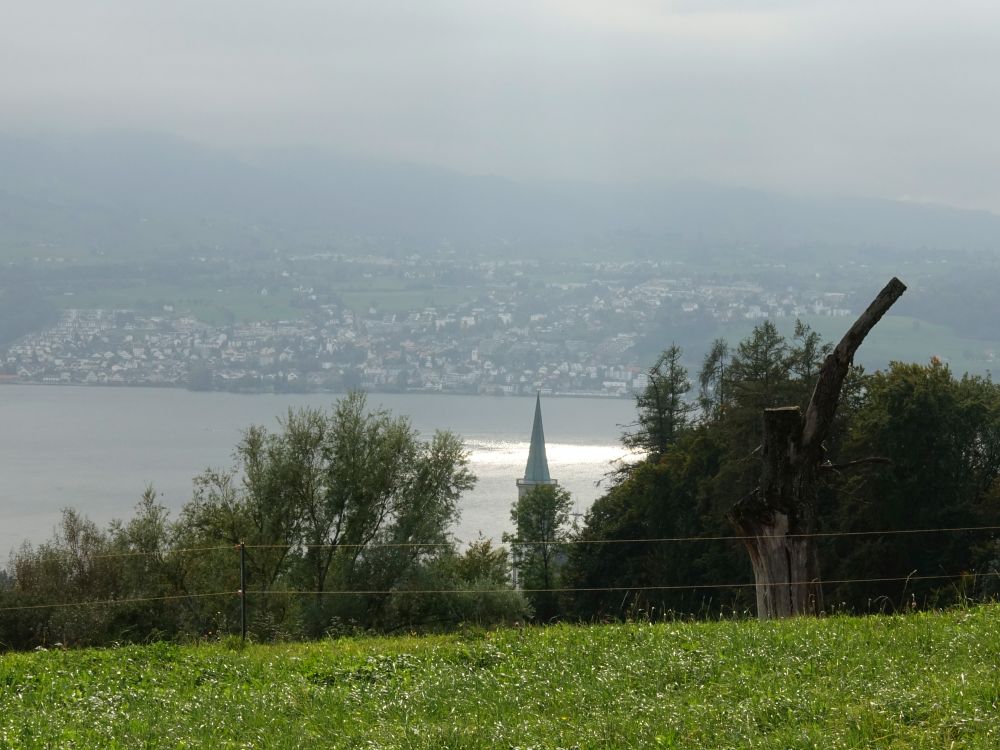 Zürichsee mit Kirchturm von Stäfa