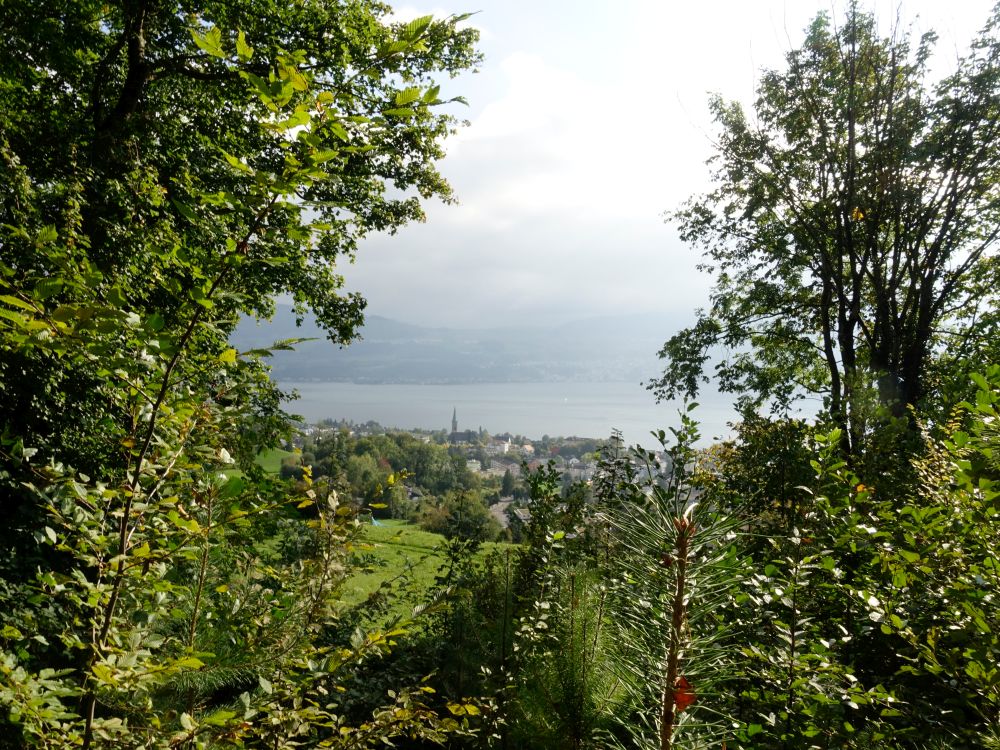 Stäfa am Zürichsee