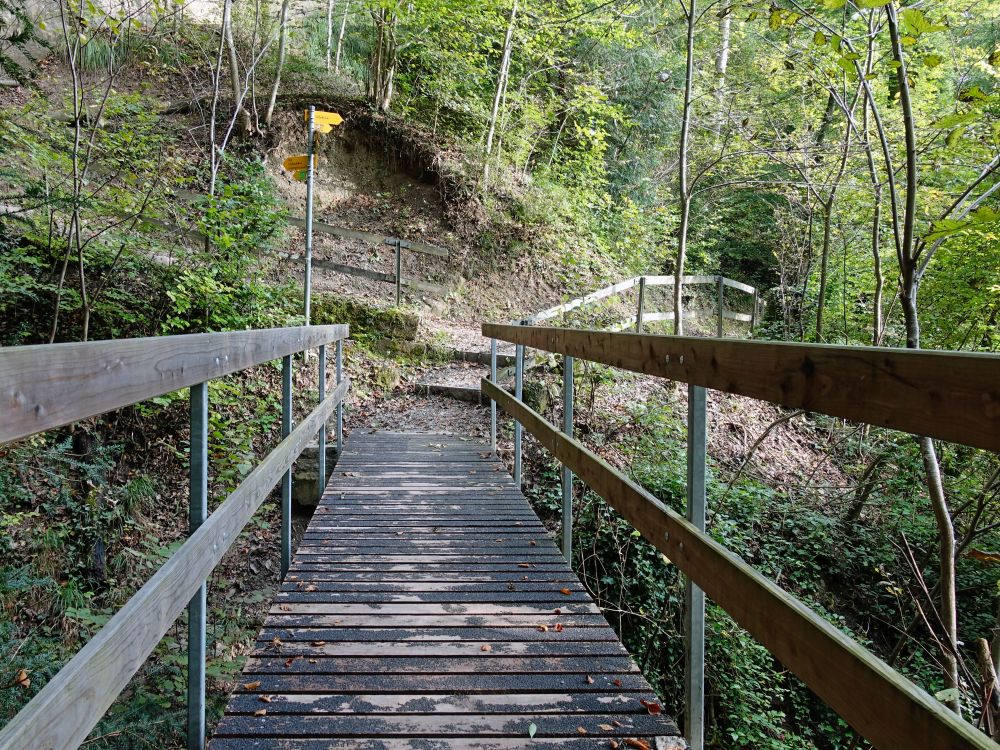 Steg im Risitobel