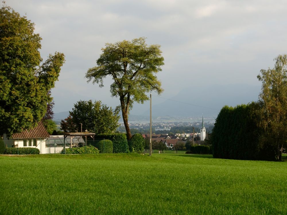 Blick vom Vorderwald Richtung Hombrechtikon