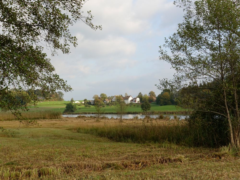 Lützelsee