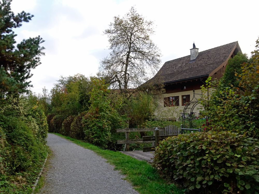 Lützelweg am Tobelbach