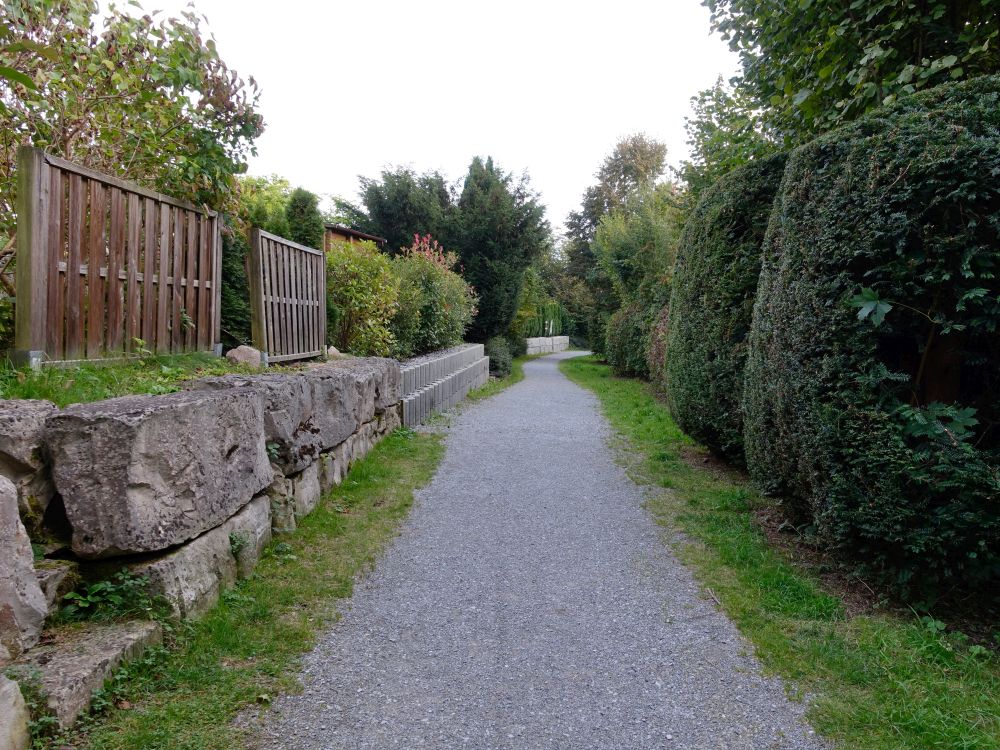 Lützelweg am Tobelbach