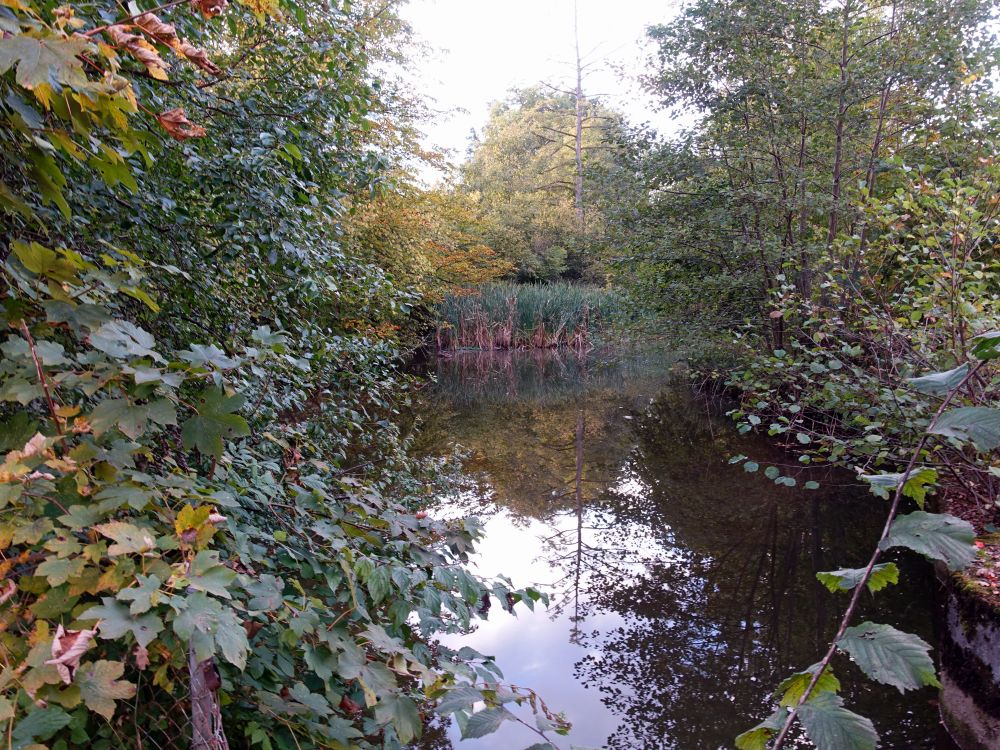 Weiher am Eichtal Park